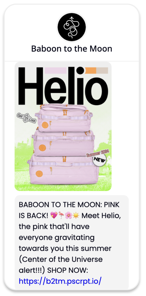 A text message sent by accessory brand Baboon to the Moon, advertising their Helio bag